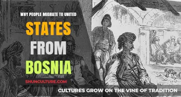 Seeking Opportunity: Why Bosnians Migrate to the United States