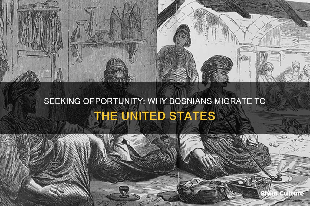 why people migrate to united states from bosnia