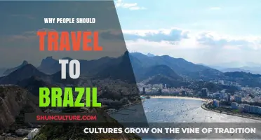 Discover Brazil's Vibrant Culture, Stunning Beaches, and Thrilling Adventures