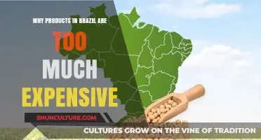 Why Are Brazilian Products So Expensive? Exploring the Cost Factors