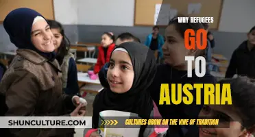 Austria's Appeal: Why Refugees Choose This Country