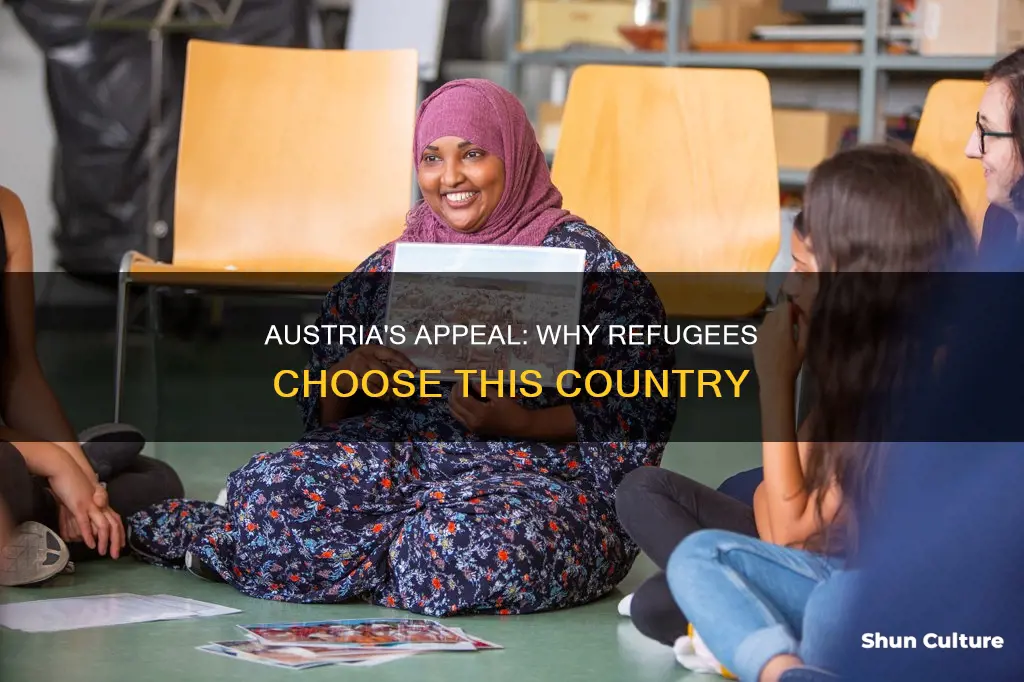 why refugees go to austria
