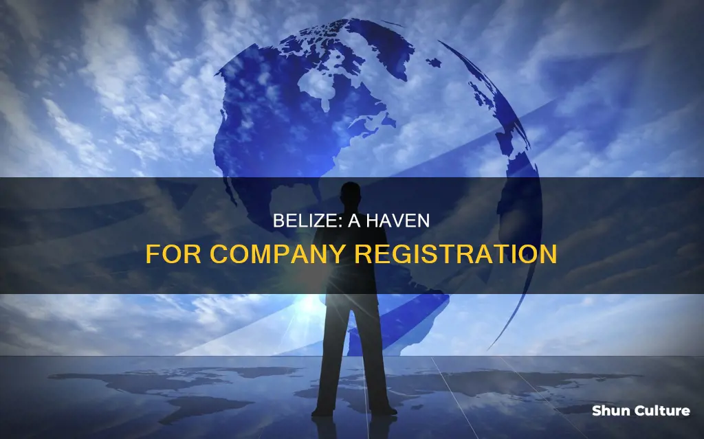 why register a company in belize