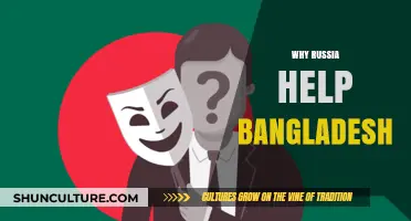 Russia's Strategic Support: Unraveling Its Aid to Bangladesh's Development