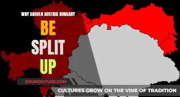 Austria-Hungary: Why Separation Was Inevitable