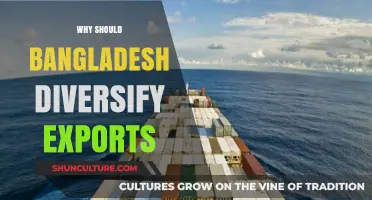 Diversifying Bangladesh's Exports: A Strategic Path to Economic Resilience and Growth