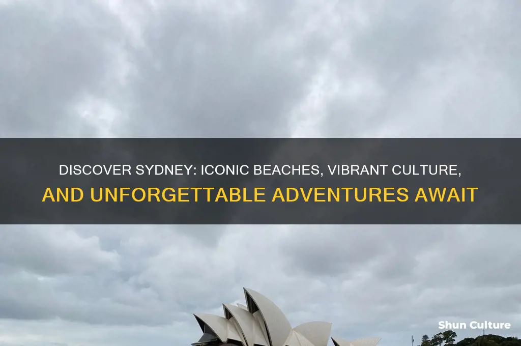 why should I go to sydney australia