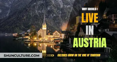 Living in Austria: Benefits and Quality of Life