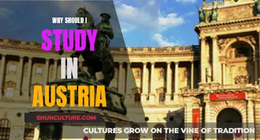Studying in Austria: Benefits and Opportunities