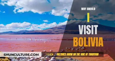 Bolivia Beckons: Culture, Nature, and Adventure