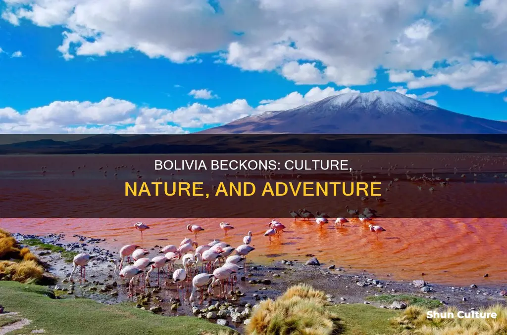 why should I visit bolivia