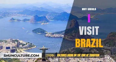 Discover Brazil's Vibrant Culture, Stunning Beaches, and Thrilling Adventures