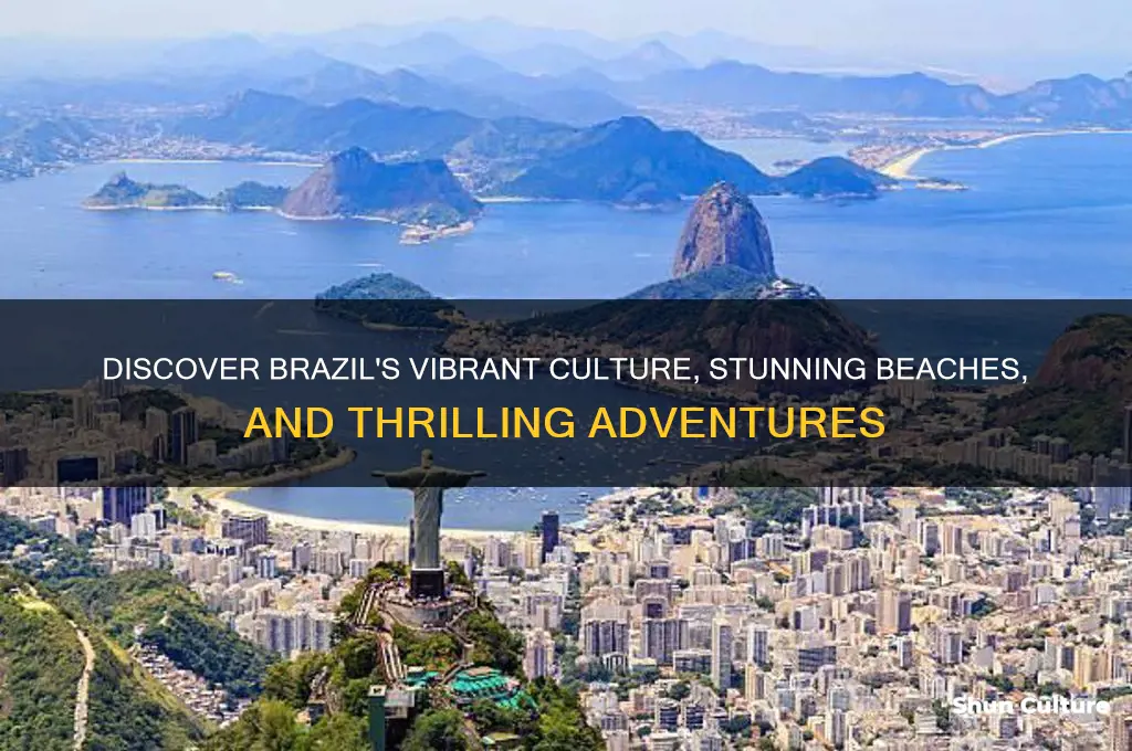 why should I visit brazil