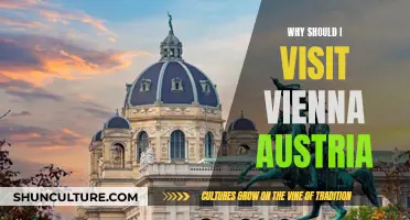 Discover Vienna: A Cultural Gem in Austria