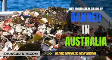 Stop Shark Culling: Australia's Deadly Solution