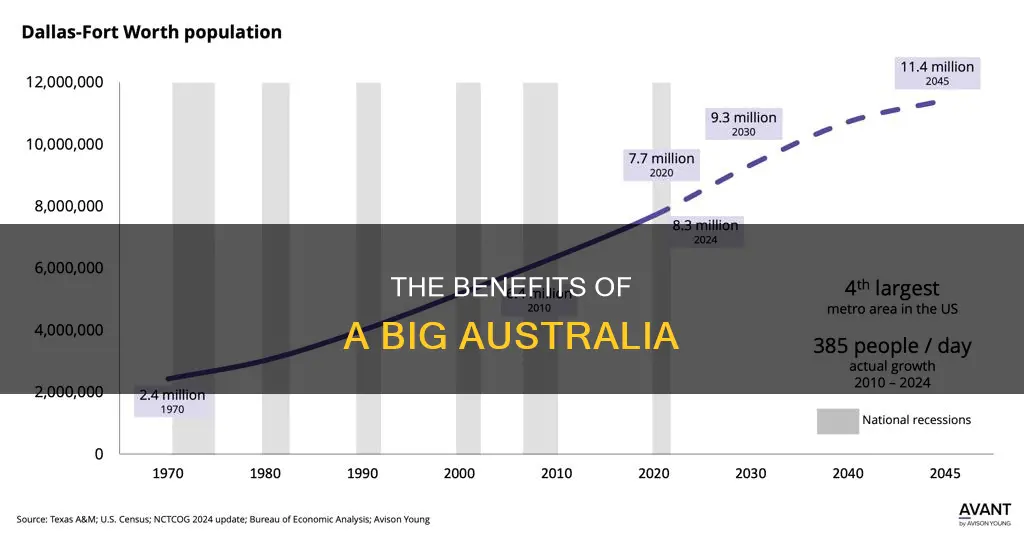 why should we have a big australia