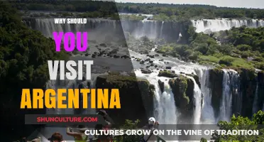 Discover Argentina: A Journey Through Culture, Nature, and Flavor