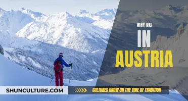 Skiing in Austria: A Winter Adventure Like No Other