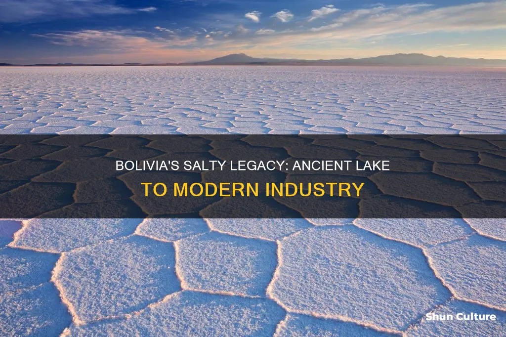 why so much salt in bolivia