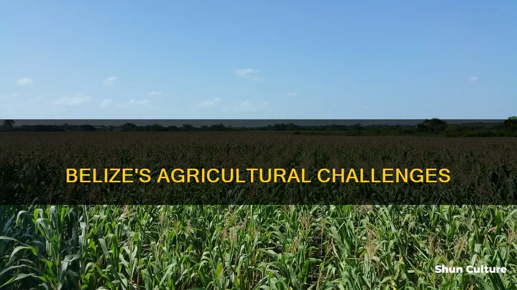 why some crops cannot grow in belize