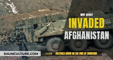 The Soviet Invasion of Afghanistan: Unraveling the Motives and Impact