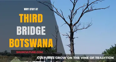 Discover Third Bridge Botswana: A Hidden Gem for Unforgettable Adventures