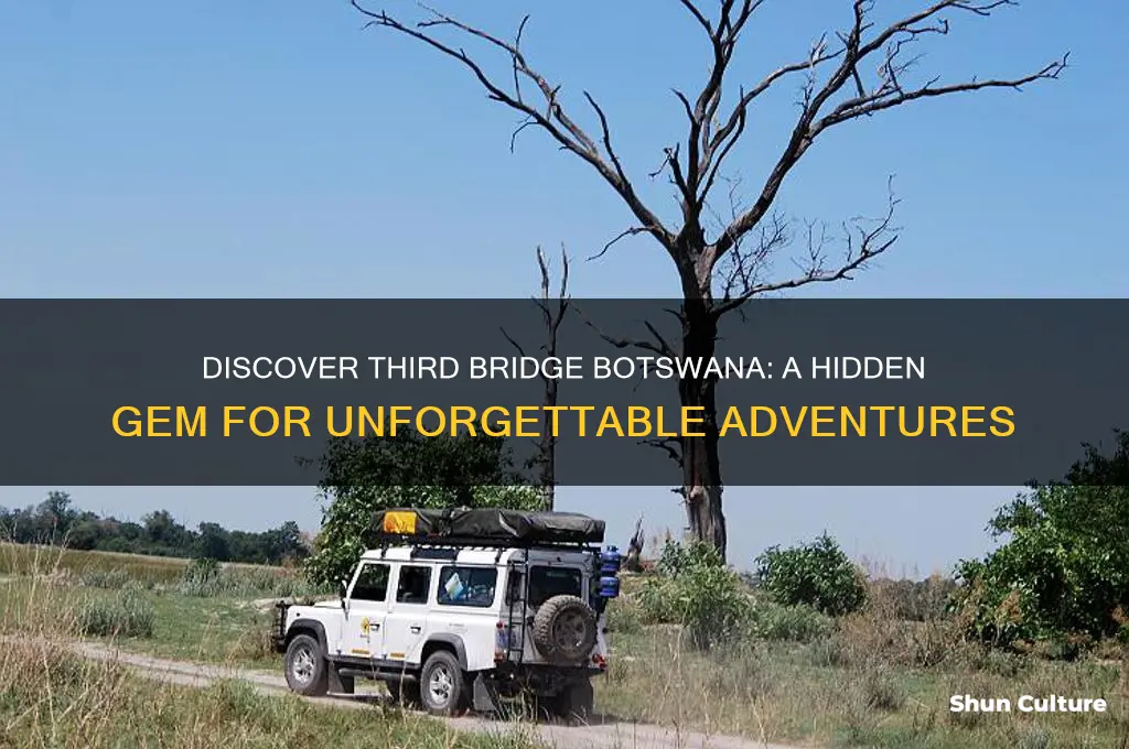why stay at third bridge botswana