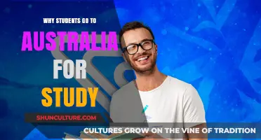 Exploring Australia: Top Reasons Students Choose to Study Down Under