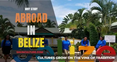 Study Abroad in Belize: Adventure and Education