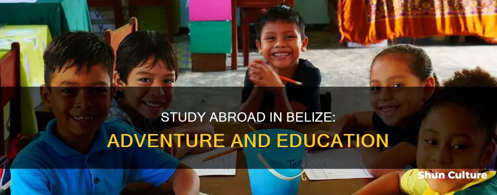 why study abroad in belize