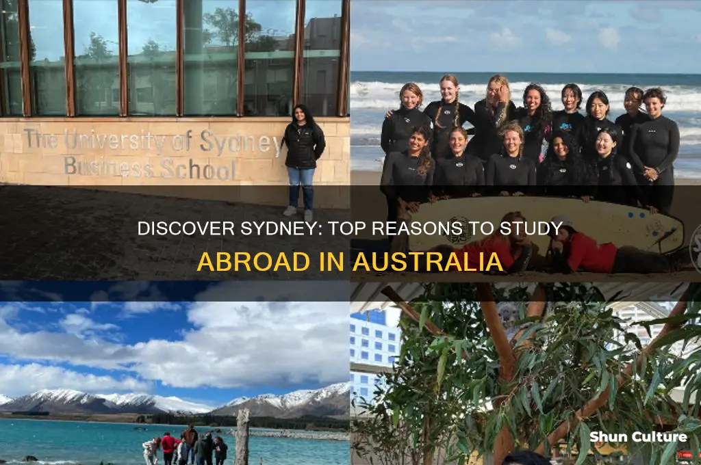 why study abroad in sydney australia