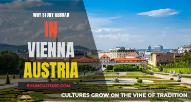Experience Vienna: Study Abroad for Cultural Immersion