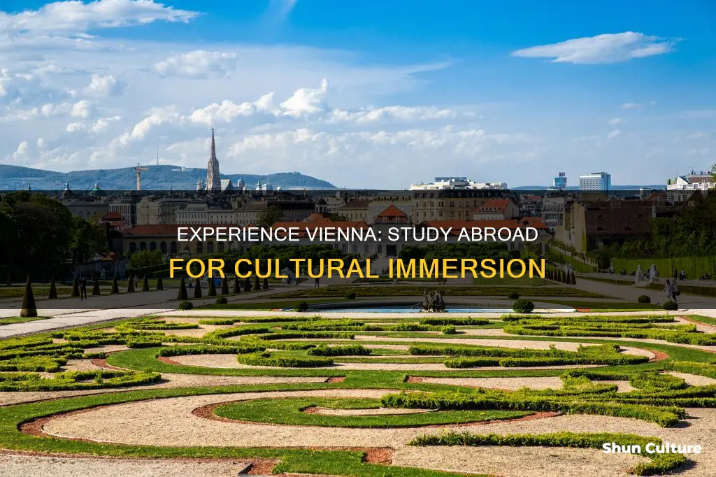why study abroad in vienna austria