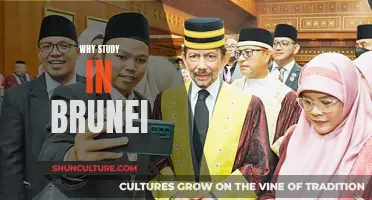 Brunei: A Unique Study Destination in Asia