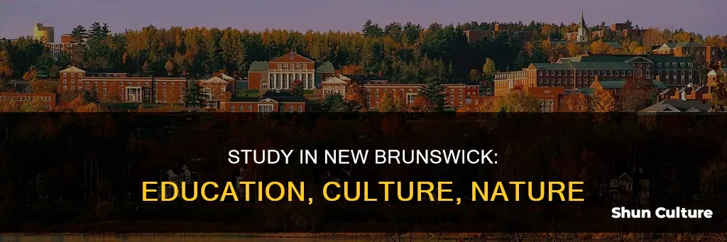 why study in new brunswick