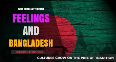 Anti-Indian Sentiments in Bangladesh: Unraveling Historical and Political Tensions