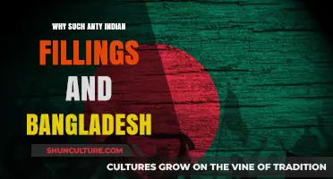 Anti-Indian Sentiments in Bangladesh: Unraveling Historical and Cultural Tensions