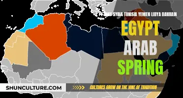 Arab Spring: Why These Countries?