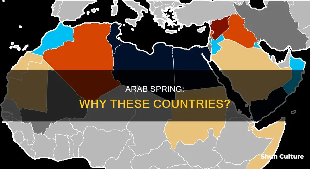 why syria tunisia yemen libya bahrain egypt arab spring