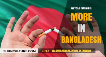 Tax Evasion in Bangladesh: Root Causes and Economic Consequences