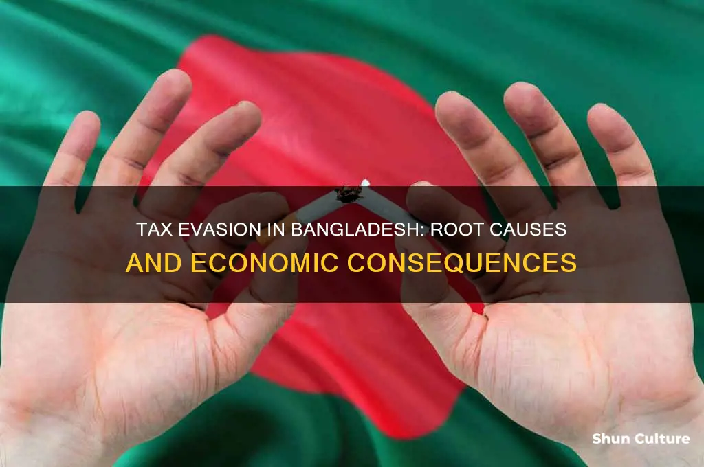 why tax evasion is more in bangladesh