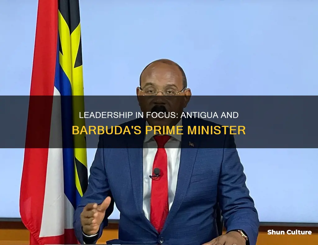 why the prime minister of antigua and barbuda do