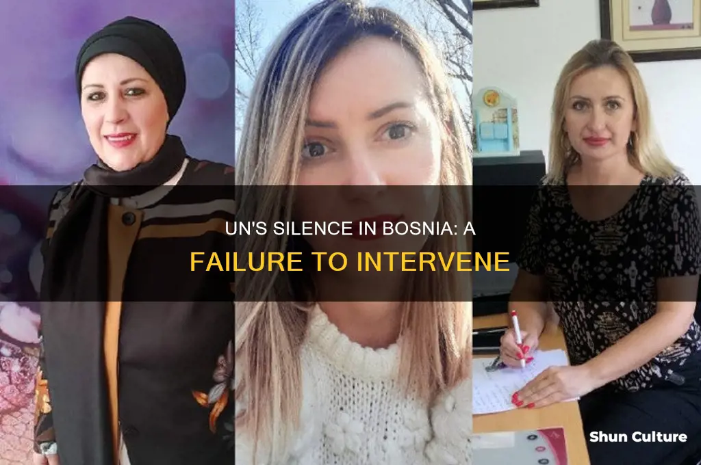 why the un s is did not intervene in bosnia