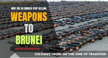 US-Brunei Arms Trade: A Deal Too Far?