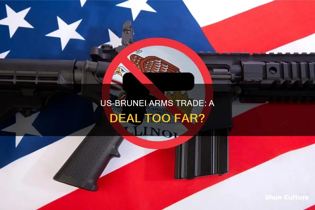 why the us should stop selling weapons to brunei