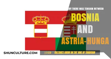 Bosnia-Herzegovina's Annexation: Unraveling Tensions with Austria-Hungary's Imperial Ambitions