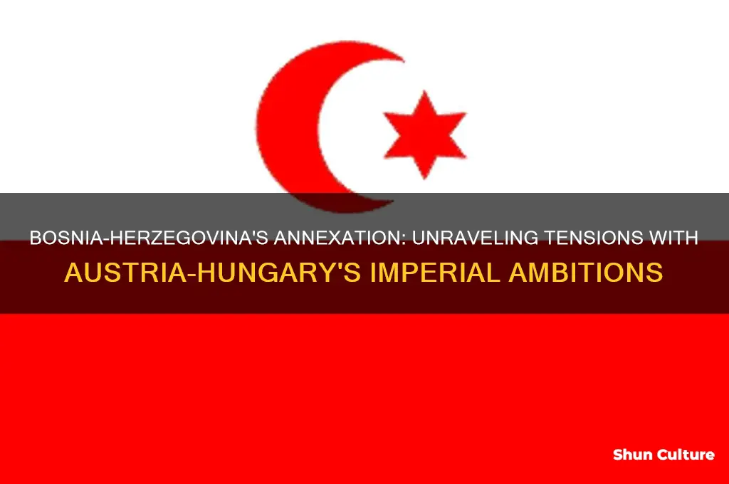 why there was tension between bosnia and astria-hungary