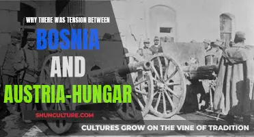 Tensions Between Bosnia and Austria-Hungary: Why?