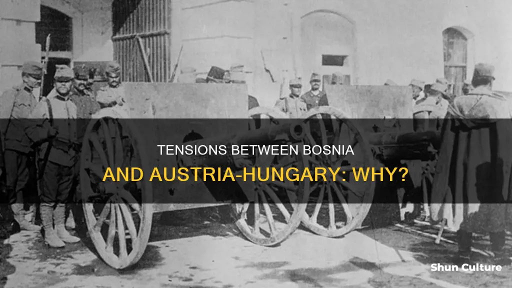 why there was tension between bosnia and austria-hungary
