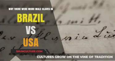 Gendered Chains: Why Brazil's Slavery Had More Men Than the USA
